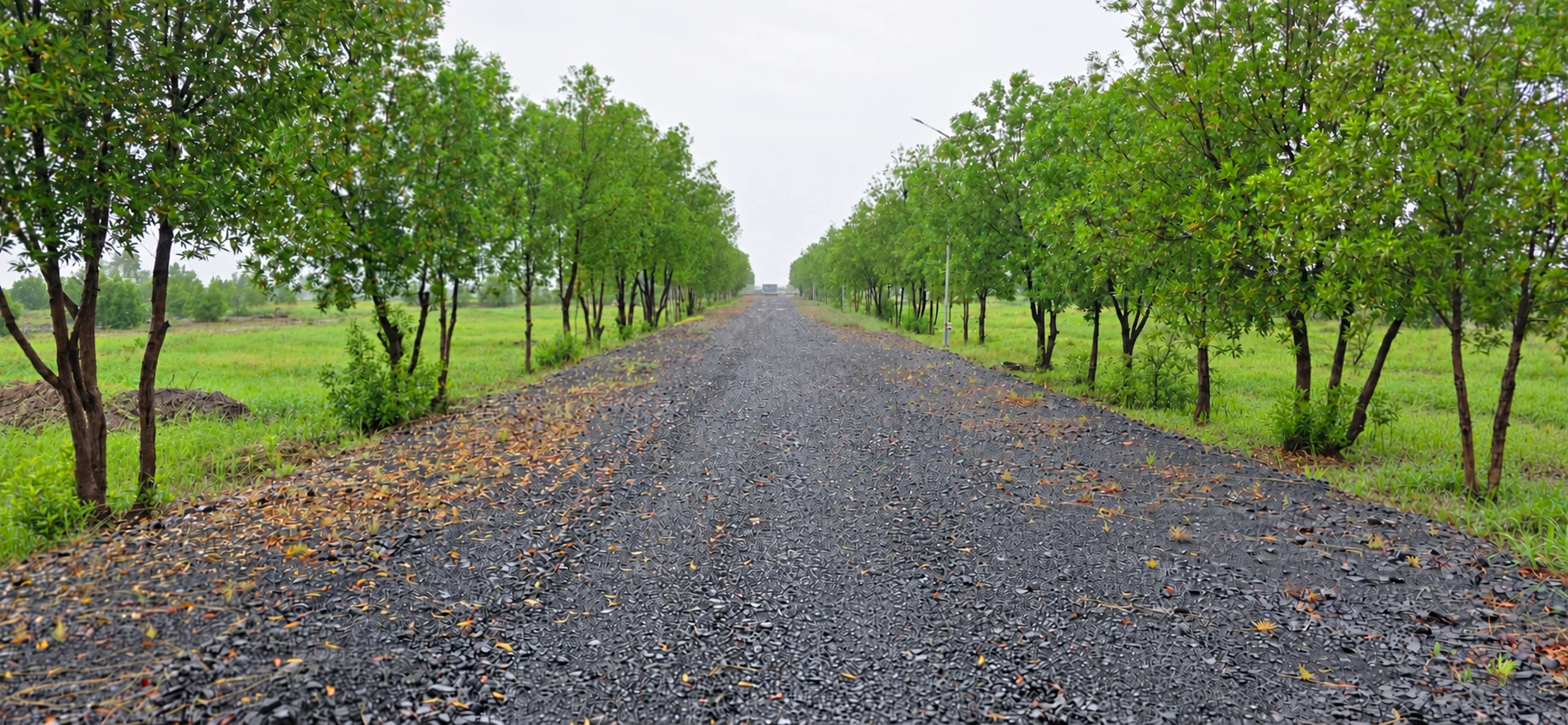 A gravel road lined with green trees inside Global City