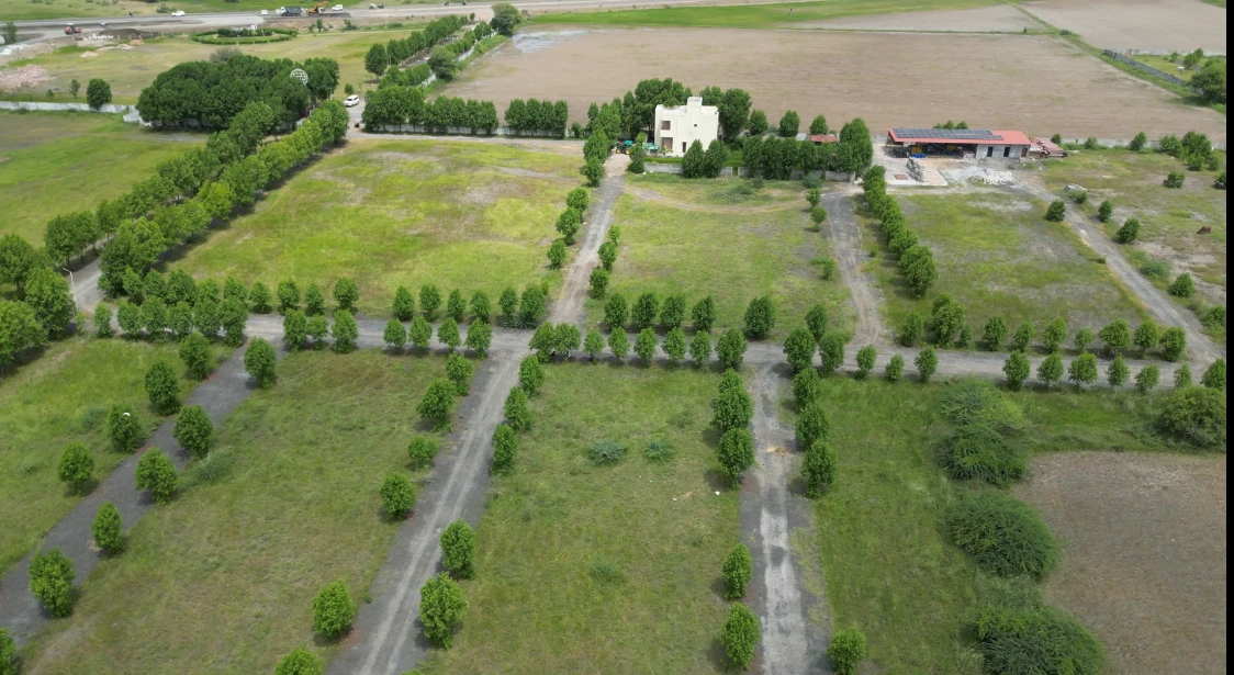 Actual site photograph of internal roads, open grounds and buildings